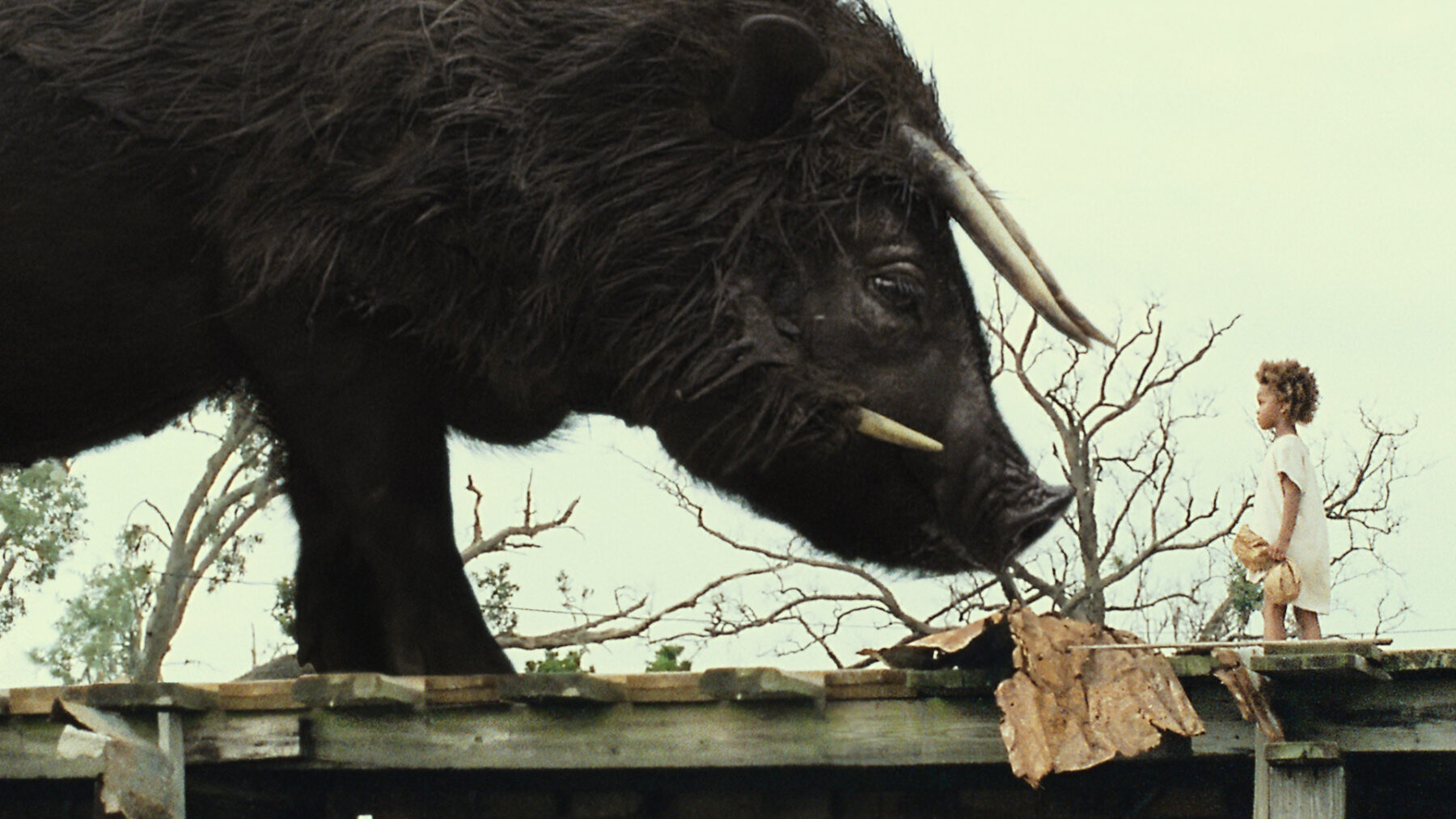Eine Szene aus dem Film "Beasts of the Southern Wild" – 11