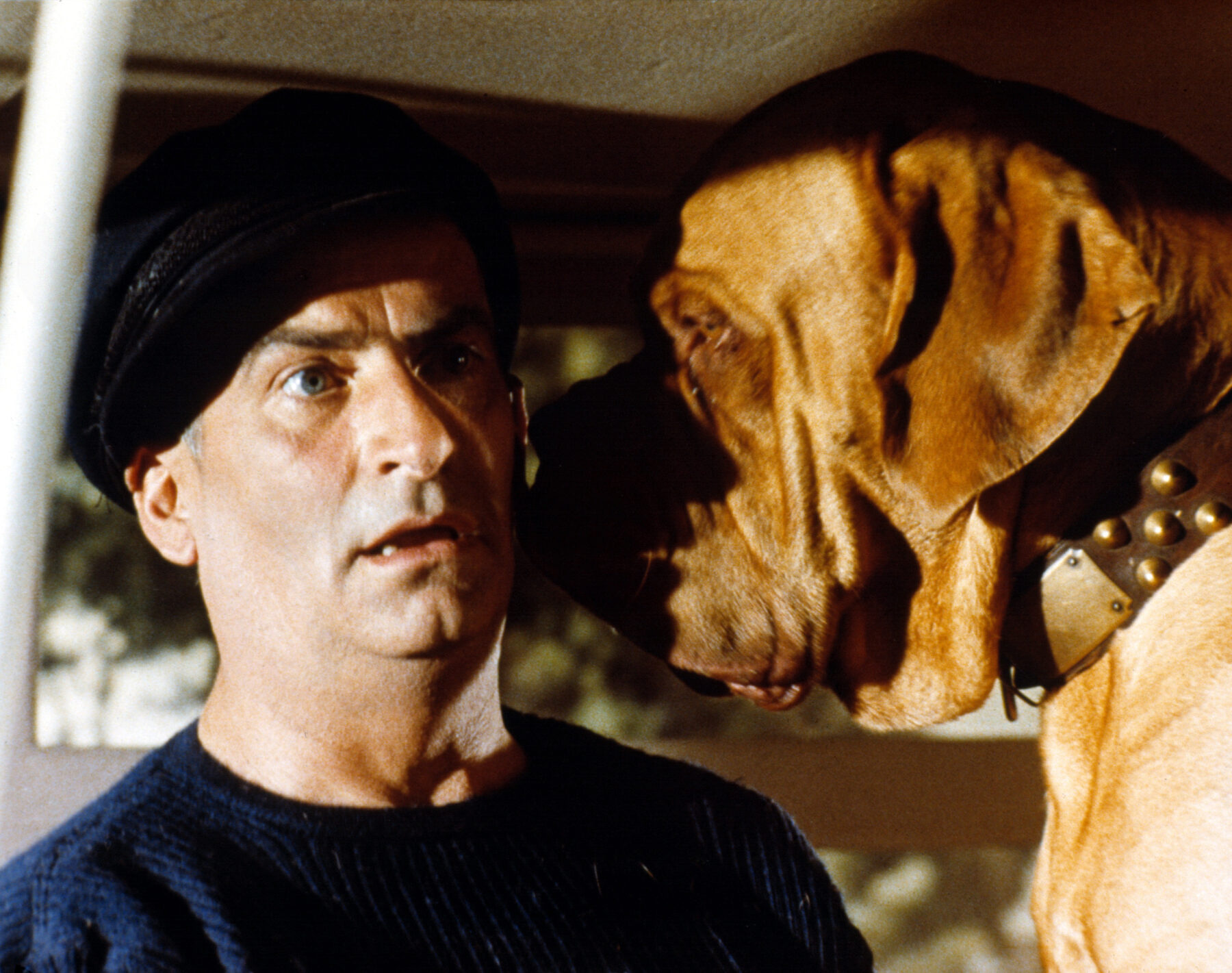 Eine Szene aus dem Film "Balduin, der Ferienschreck" – 3