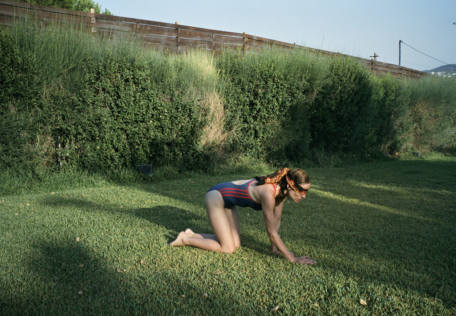 Eine Szene aus dem Film "Dogtooth" – 1