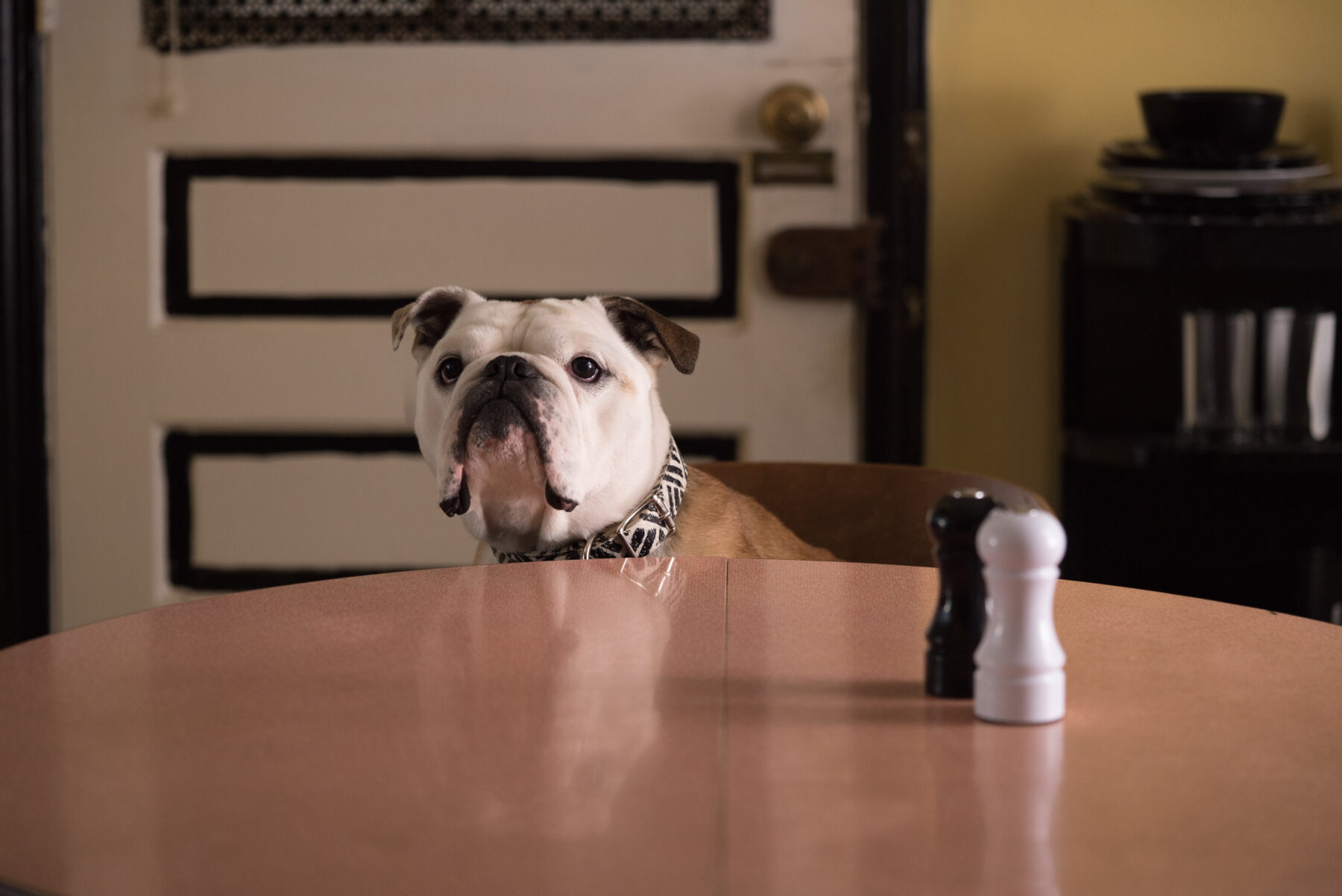 Eine Szene aus dem Film "Paterson" – 3