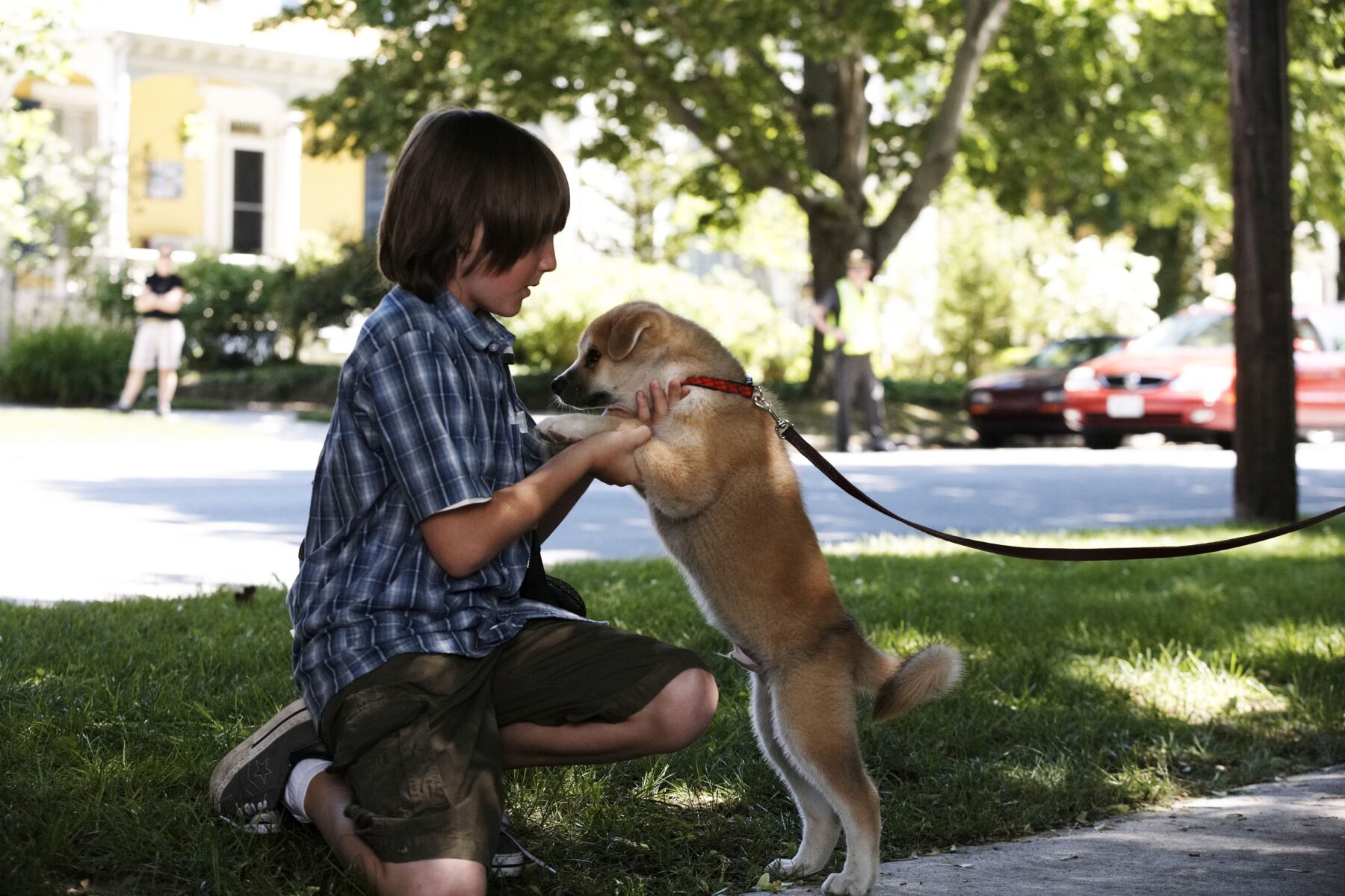 Eine Szene aus dem Film "Hachiko – Eine wunderbare Freundschaft" – 3